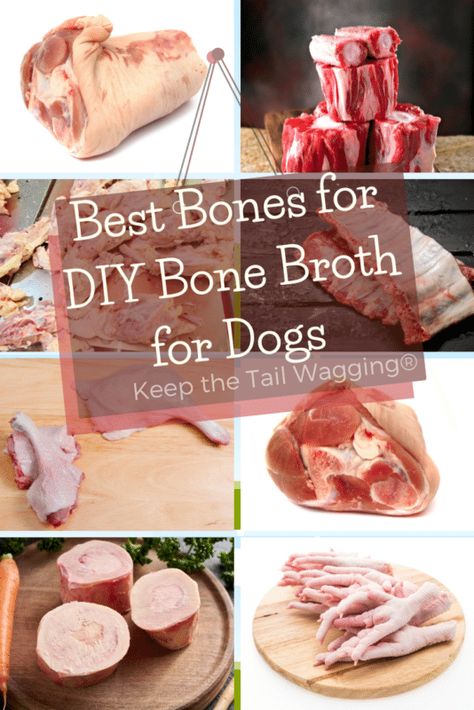 Best Bones for DIY Bone Broth for Dogs Beef Bone Broth Recipe For Dogs, Best Bones For Bone Broth, Bone Broth For Dogs Recipes Crockpot, Bone Broth Dog Recipe, Homemade Broth For Dogs, Pet Bone Broth, Bone Broth Pupsicles, Diy Bone Broth For Dogs, Bone Broth Treats For Dogs