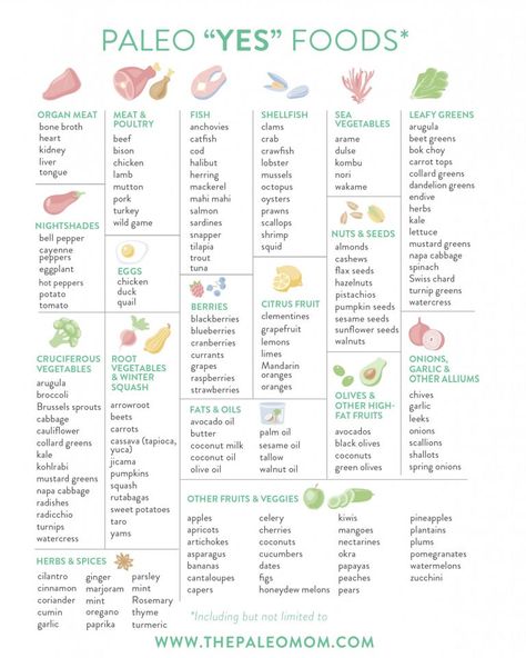 Paleo Food, Starting Paleo Diet, Paleo Diet Meal Plan, Practical Paleo, Paleo Food List, Paleo Diet For Beginners, Paleo Mom, Paleo Diet Plan, Paleo Life