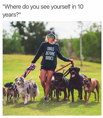 You know what your future holds and you�re 100% on board with it: | 18 Pictures That Are Literally You As A Dog Owner Humour, Australian Shepherd Red Tri, Doggy Daycare, Black Dogs, 강아지 그림, Crazy Dog Lady, Dog Lady, See Yourself, Funny Lol