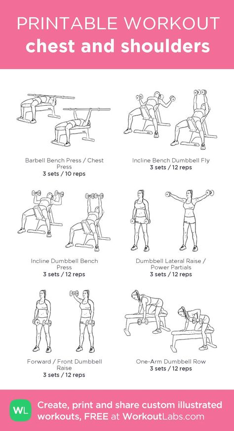 Chest And Shoulder Workout Dumbell, Cheat And Back Workout, Cheat And Shoulder Workout, Chest And Shoulder Workout Gym, Chest Bicep Workout, Chest Workouts Gym, Chest And Shoulders Workout, Shoulder Workout Women, Chest And Shoulder Workout