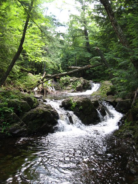 Michigan 2013 Nature, Michigan Forest, River Side, Magic Island, Cedar Creek, Landscape Garden, Landscape Nature, Future Life, Nature Aesthetic