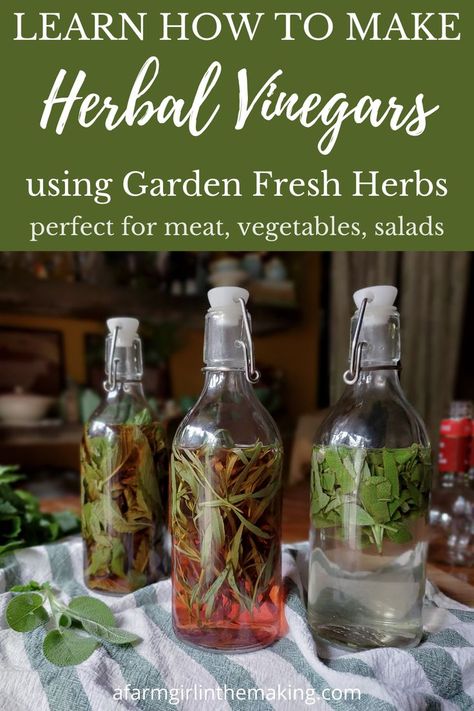 Preserve the the herbs from your herb gardeny making infused, herbal vinegars. Herb vinegars are easy to make, and here are some recipes for you to try! Herb Vinegars How To Make, Infused Oil And Vinegar Recipes, Thermomix, Making Herbal Vinegar, Herbal Vinegar Recipes, Herbal Vinegars How To Make, Herb Infused Vinegar, Herbed Vinegar Recipes, Flavoured Vinegar Recipes