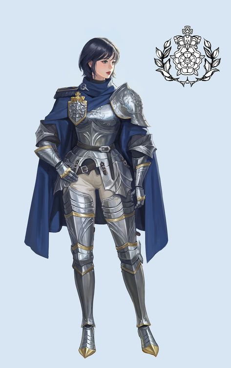 Female Armor Aesthetic, Knight Cosplay Medieval, Armor Female Design, Dnd Pose Reference, Female Knight Art Character Design, Paladin Outfit, Half Plate Armor, Mage Armor, Royal Armor