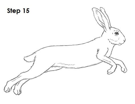 Simple Hare Drawing, Running Bunny Drawing, Hare Running Illustration, Running Rabbit Drawing, Bunny Running Drawing, Running Hare Tattoo, Hare Drawing Simple, Rabbit Running Drawing, Jack Rabbit Drawing