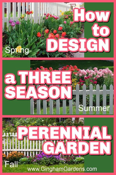 Discover the art, science, and beauty of designing a 3-season perennial garden. In this comprehensive guide, we unravel the secrets for creating a harmonious balance of vibrant spring blooms, colorful summer blossoms, and captivating fall foliage. Stop by Gingham Gardens and get your printable, easy-to-follow guide and workbook for planning your flower garden with perennials that bloom spring, summer and fall. Flower Garden That Blooms All Year, Three Season Garden Plans, 4 Season Flower Bed, Three Season Flower Bed, Four Season Flower Bed, All Season Garden Plan, Part Sun Garden Plans, 3 Season Perennial Garden Plans, Ohio Flower Garden