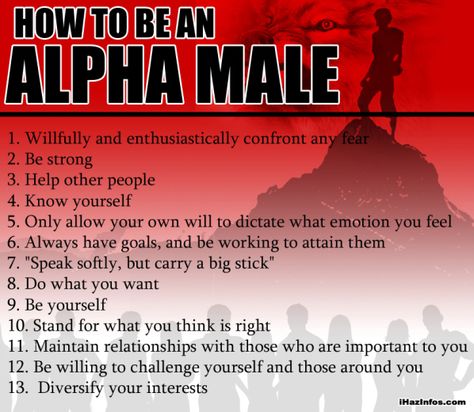 The Quest for the Alpha Male – stories lies & biker dives Albert Einstein, Alfa Male, Alpha Male Quotes, Warrior Soul, Alpha Male Traits, Alpha Quote, Gentleman Club, Macho Alfa, Sigma Male