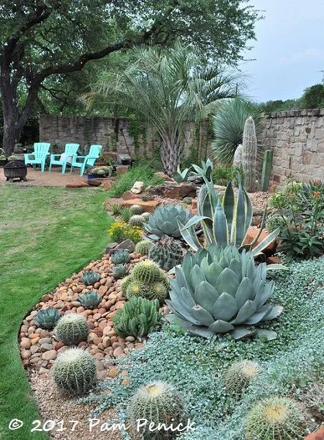 Cactus Garden Landscaping, Garden Landscaping Backyard, Desert Backyard, Succulent Garden Landscape, Arizona Backyard, Succulent Landscape Design, Landscaping Business, Succulent Landscaping, Succulent Garden Design