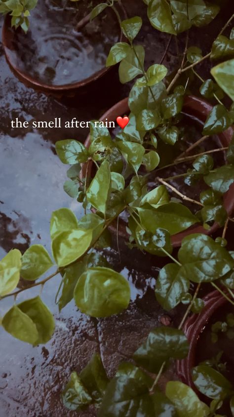 The Smell After Rain, Nature Photography Quotes, Sunset Quotes Instagram, Rainy Day Aesthetic, Snap Streak Ideas Easy, Look Up Quotes, Instagram Creative Ideas, Sky Photography Nature, After Rain