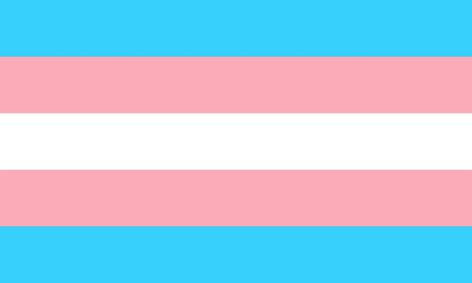 Natalia Kills, Rainbow Flag Lgbt, Trans Pride Flag, Lily Cole, The Truman Show, Bisexual Flag, Trans Flag, Gender Flags, Brandon Lee