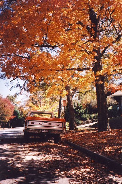 Autumn Tumblr, Small Towns Usa, Free Nature, Have Inspiration, Fall Inspiration, Arte Inspo, Autumn Cozy, Autumn Beauty, Fall Pictures