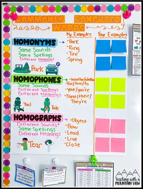 How To Teach Commonly Confused Words in Upper Elementary - Teaching with a Mountain View Homographs Activities, Homographs Anchor Chart, Homophones Anchor Chart, Elementary Language Arts, Commonly Confused Words, Mentor Sentences, Elementary Books, Multiple Meaning Words, Classroom Anchor Charts