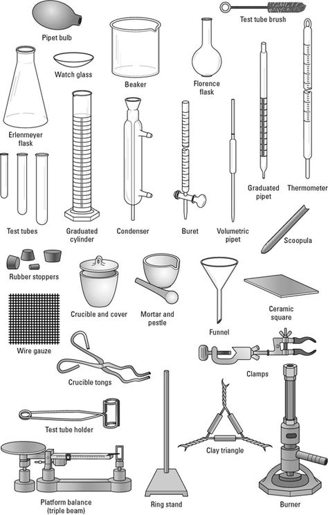 Diagram of common lab equipment, such as an Erlenmeyer flask, beaker and condenser, among others. Science Laboratory Aesthetic, Tabel Periodik, Chemistry Lab Equipment, Organic Chemistry Study, Chemistry Projects, Chemistry Basics, Erlenmeyer Flask, Lab Instruments, Study Chemistry