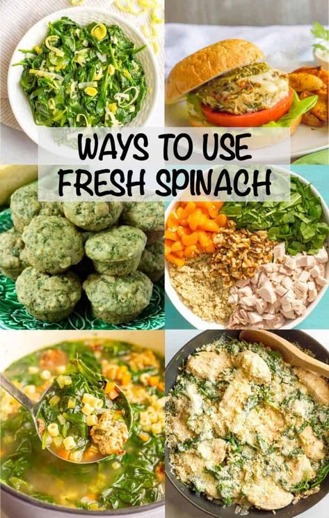 Fresh spinach is an easy, versatile veggie to keep on hand. Check out these ideas and recipes for ways to use it. Essen, Spinach Recipes Side, Spinach Dinner Recipes, Easy Spinach Recipes, Fresh Spinach Recipes, Baby Spinach Recipes, Cook Fresh Spinach, Spinach Side Dish, Spinach Recipes Healthy