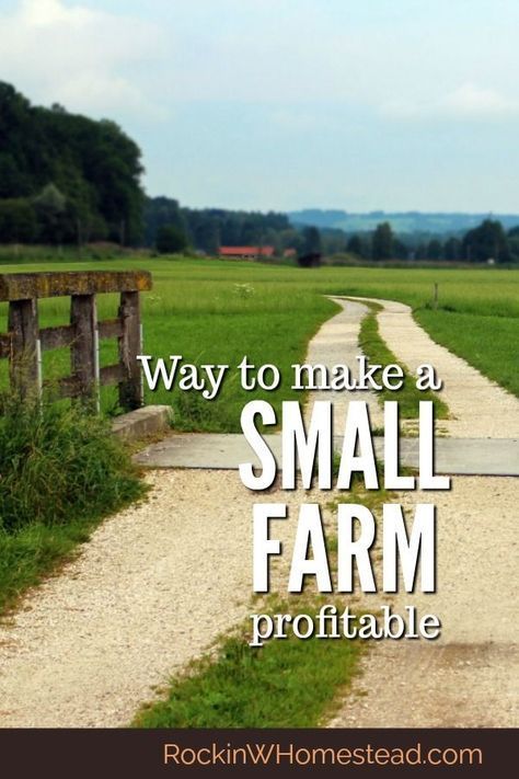 Small Farm Ideas Homesteads, Small Horse Farm Ideas, Ranching Life, Life On Land, Starting A Farm, Farm Plans, Farm Layout, Homestead Farm, Farm Business