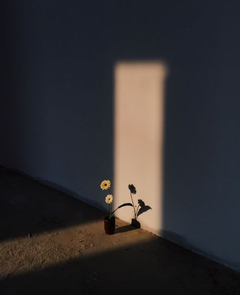 Minimalist Photography, Comedic Relief Aesthetic, Fotografi Urban, Minimalist Photos, Shadow Photography, Photographie Inspo, Photography Architecture, Aesthetic Pastel Wallpaper, Foto Inspiration