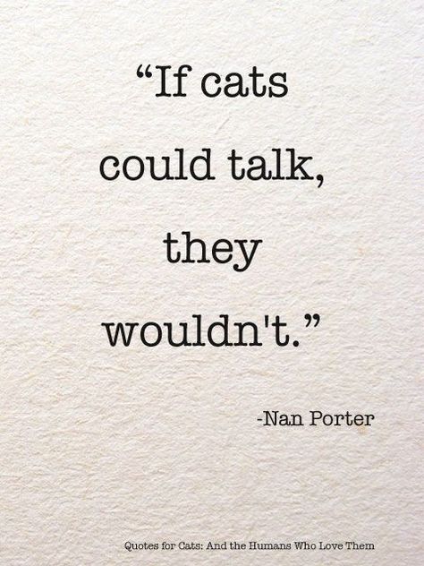 "If cats could talk, they wouldn't." - Nan Porter Crazy Cat Lady, Kat Diy, Fina Ord, Cat Quotes, All About Cats, Animal Quotes, Cats Meow, Cat Lady, Crazy Cats