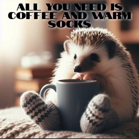 Humour, Kaffe Humor, Coffee Jokes, Time For Coffee, It's Thursday, Coffee Quotes Funny, Funny Coffee Quotes, Coffee Talk, Good Morning Funny