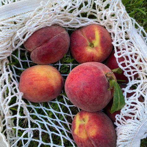 Farmers Market Bag Aesthetic, Peach Picking Aesthetic, Net Bag Aesthetic, Fruit Net, Bog Man, Fruit Picking, Farmers Market Bag, Bag Aesthetic, Net Bag