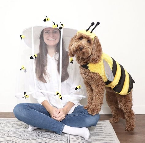 Medium Dog Halloween Costumes, Diy Dog Bee Costume, Duo Halloween Costumes With Dog, Cute Small Dog Costumes, Cute Halloween Costumes With Your Dog, Black Dog Halloween Costumes With Owner, Dog Horse Costume, Group Dog Halloween Costumes, Puppy And Owner Halloween Costume