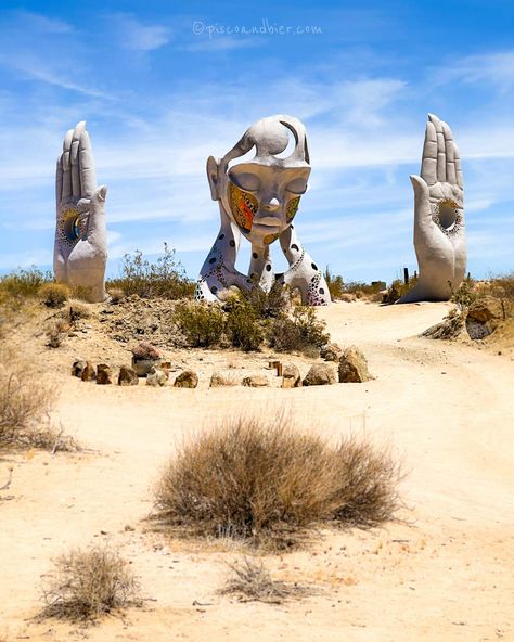 The Ultimate California Bucket List: Best Places To See In California Tes, Los Angeles, Tree Art Installation, Joshua Tree Outfit, Disco Desert, Joshua Tree Aesthetic, Joshua Tree Art, Desert Trees, Borrego Springs