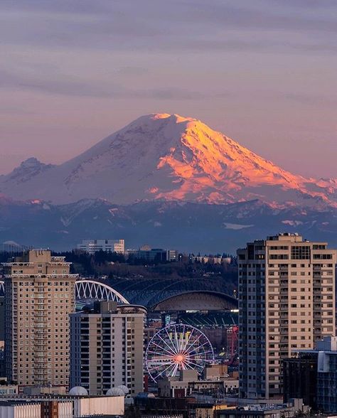 Mt. Rainer #seattle Seattle, Washington State, Mt Rainer, Beautiful Scenes, Red Hill, Seattle Washington, Travel Advice, Mount Rainier, Sunrise Sunset