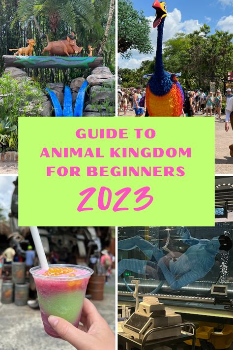 Animal Kingdom Planning Guide, Animal Kingdom Tips 2023, Things To Do At Animal Kingdom, Animal Kingdom Itinerary 1 Day 2023, Animal Kingdom Tips And Tricks, Animal Kingdom 2023, Animal Kingdom Must Do List, Animal Kingdom Itinerary 1 Day, Disney’s Animal Kingdom