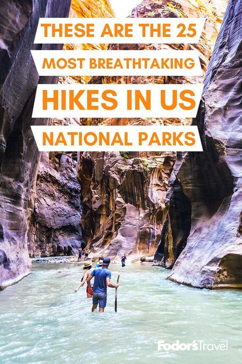 the 25 most beautiful U.S. national park hikes Us National Parks, Lush Rainforest, National Park Hikes, Hiking Nature, Outdoor Vacation, National Park Vacation, National Park Road Trip, Hiking Destinations, National Parks Trip