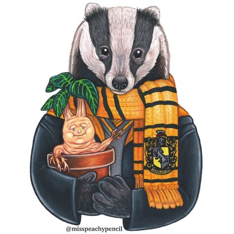 Hufflepuff Things, Hufflepuff Badger, Harry Potter Fanart, Potter Fanart, Potter Wallpaper, Hufflepuff Aesthetic, Hufflepuff Pride, Hufflepuff House, Harry Potter Hufflepuff