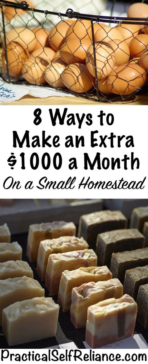 8 Ways to Make an Extra $1000 a Month On a Small Homestead — Practical Self Reliance Small Homestead, Homesteading Diy, Info Board, Homestead Farm, Homestead Gardens, Farmhouse Decor Kitchen, Future Farms, Cool Wood Projects, Homesteading Skills