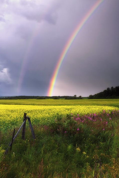 Arc En Ciel Aesthetic, Rainbow Photography Nature, What Is Heaven, Rainbow Nature, Storyboard Examples, Canola Field, Parables Of Jesus, Rainbow Images, The Artist Movie