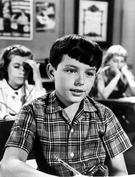 Jerry Mathers Nibiru Pictures, Jerry Mathers, Planet Nibiru, Leave It To Beaver, Bizarre Pictures, Old Tv Shows, Child Actors, Me Tv, Old Tv