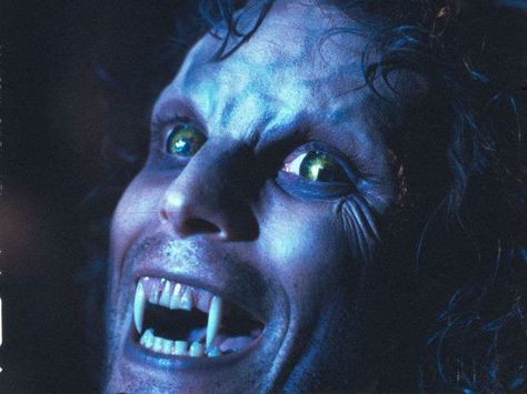 Joe Dante looks back on the werewolves of 'The Howling' Zombies, The Howling 1981, John Carradine, Primal Fear, Wolf Hybrid, American Werewolf In London, Film Genres, The Howling, Lambada