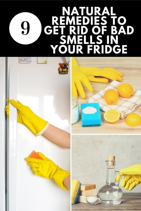 Stinky Fridge Remedies, How To Get Rid Of Smell In Fridge, How To Clean Your Fridge, How To Clean Fridge, Smelly Refrigerator, Smelly Fridge, Fridge Cleaning Hacks, Fridge Cleaning, Fridge Smells