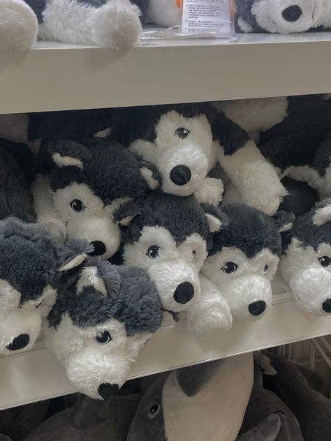 Husky plushie/ ikea / ikea decor / room decor/ black/ white/ dog Dog Plushie Aesthetic, Wolf Plushies, Ikea Plushies, Ikea Dog, Room Decor Black, Ikea Decor, Black And White Dog, White Dog, Decor Black