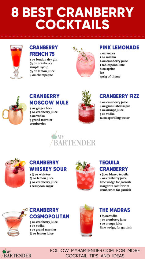 Best Cranberry Cocktails Cranberry Cocktails, Cranberry Cocktail Recipe, Cranberry Fizz, Cranberry Moscow Mule, Drinks With Cranberry Juice, Bartender Drinks Recipes, Cranberry Drinks, Christmas Drinks Alcohol Recipes, Winter Cocktails Recipes