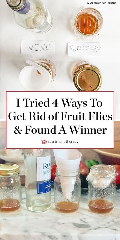 I tested 4 zero-cost methods for trapping fruit flies in the kitchen—and found one clear winner. #fruitflies #flytrap #homeremedies #diyflytrap #flytrapdiy #cleaningtips #cleaninghacks #lifehacks #pestcontrol #fruitflytrap Fruit Fly Trap Diy White Vinegar, Fruit Fly Repellent, Fruit Fly Spray, Killing Fruit Flies, House Fly Traps, Fly Remedies, Flies Trap Diy, Hawaii Room, Catch Fruit Flies