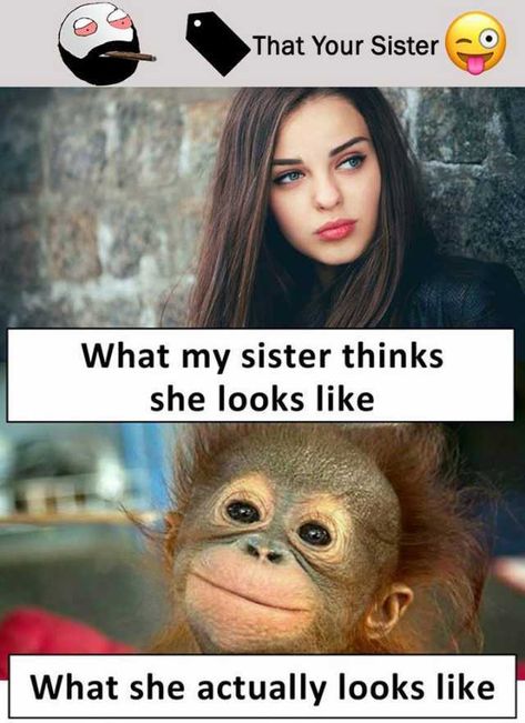 30 Totally Funny Sister Memes We Can All Relate To | SayingImages.com Humour, Funny Sister Memes, Brother Sister Quotes Funny, Sister Jokes, Siblings Funny Quotes, Sister Funny, Brother Quotes Funny, Funny Sister, Siblings Funny