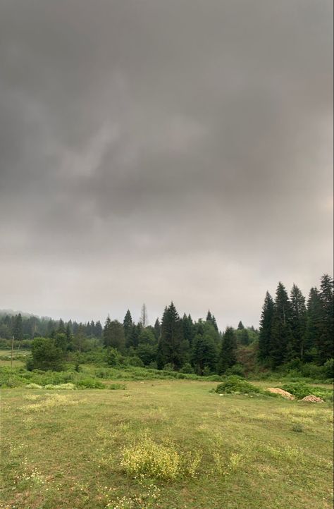 Nature, Good Weather Aesthetic, Cloudy Forest Aesthetic, Gray Nature Aesthetic, Gloomy Outfits Weather, Cloudy Sunny Sky Aesthetic, Overcast Weather Aesthetic, Cloudy Morning Aesthetic, Gloomy Weather Wallpaper