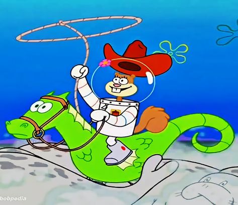 Spongebob Squarepants Sandy, Spongebob And Sandy, Riding A Horse, Sandy Cheeks, Character Study, Silly Images, Spongebob Squarepants, Paint Kit, Birthday Bash