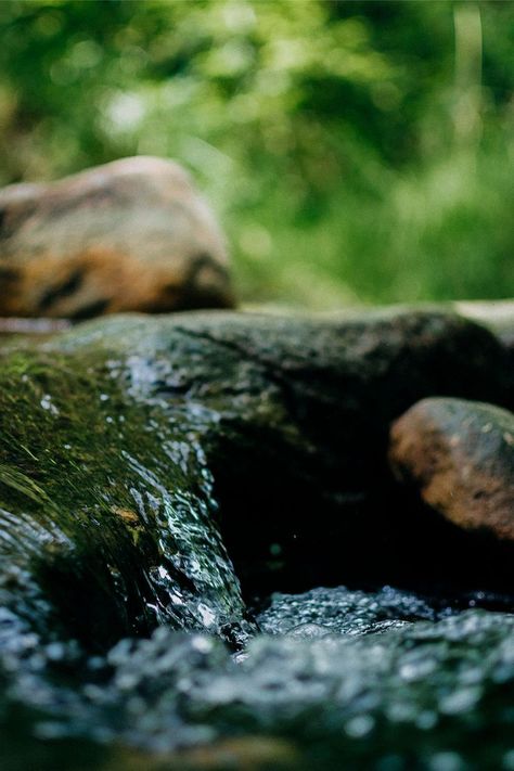 Small Waterfall Photography #forest #nature #forestphotography #naturephotography #naturelovers #jungle #naturephoto #waterfall #waterfallphoto #waterfallphotography #smallwaterfall #stream #creek Nature, Water Flowing Video, River Video, Water Video, Water Sound, River Flow, Photography Forest, Flowing River, River Flowing