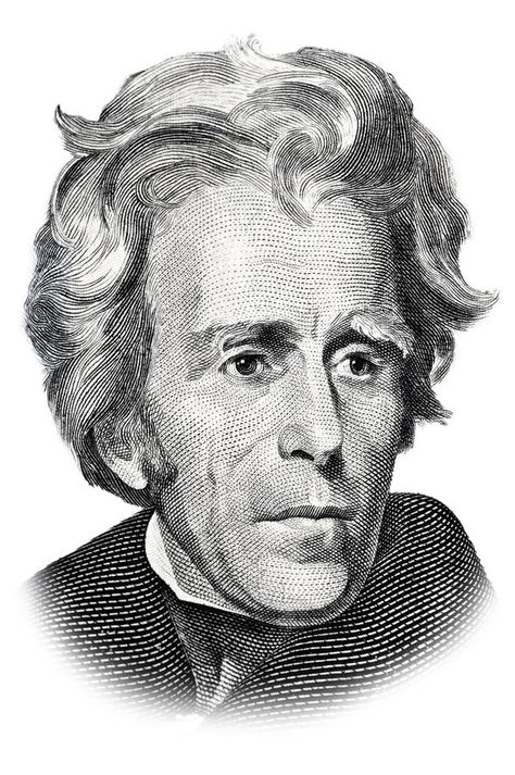 Andrew Jackson. Isolated on white , #Ad, #Jackson, #Andrew, #white, #Isolated #ad Andrew Jackson Drawing, 100 Dollar Bill Tattoo, Red Aesthetic Gif, Fake Dollar Bill, Black And Red Aesthetic, Twenty Dollar Bill, Money Art, Portrait Background, Celebrity Photography