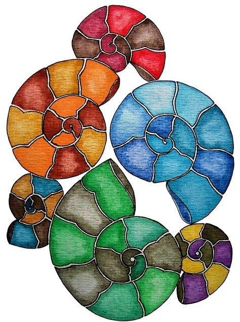Fossil Art In Watercolor Fossils Art Project, Patchwork, Fossil Drawing, Fossil Art, Geometry In Nature, Learn Watercolor Painting, Spiral Art, Watercolor Art Journal, Vintage Illustration Art