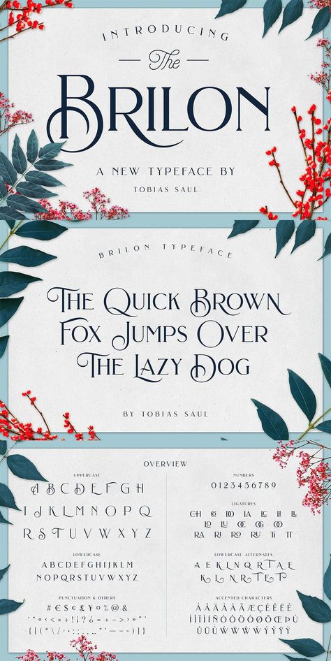 Vintage Lettering Fonts, Art Deco Font, Canva Font, Deco Font, Elegant Serif Fonts, Sans Font, Vintage Font, Font Combinations, Font Inspiration