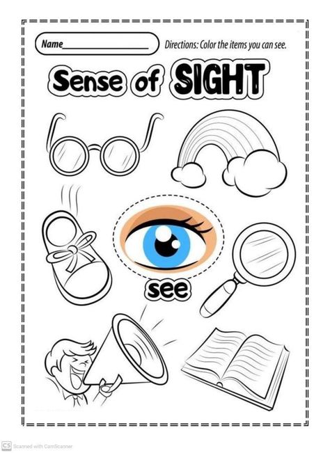 5 Senses Preschool, 5 Senses Worksheet, Five Senses Worksheet, Five Senses Preschool, Kindergarten Math Worksheets Addition, Pre-k Science, Senses Preschool, Shapes Worksheet Kindergarten, My Five Senses