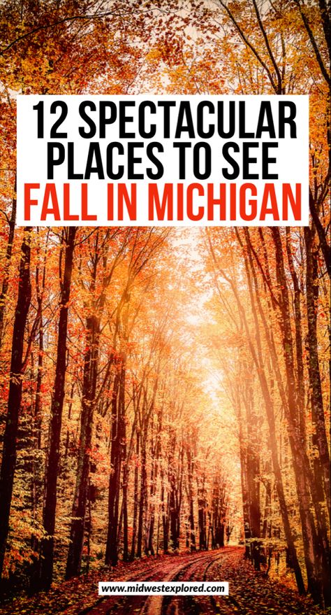 Brilliant autumn tree tunnel Cool Places To Visit In Michigan, Michigan Travel Fall, Michigan Road Trip Fall, Up North Michigan Fall, Michigan Fall Colors, Autumn In Michigan, Michigan Fall Bucket List, Michigan In Fall, Holland Michigan Fall