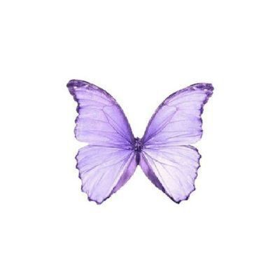 Backgrounds Purple, Purple Tattoos, Purple Animals, Png Aesthetic, Rainbow Butterfly, Butterfly Kisses, Purple Love, Png Icons, Soft Purple