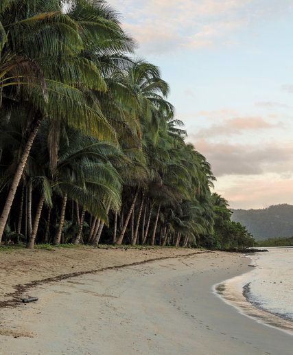 Nature, Abandoned Island Aesthetic, Creepy Island Aesthetic, Deserted Island Aesthetic Dark, Stuck On A Deserted Island Aesthetic, Island Survival Aesthetic, Deserted Island Aesthetic, Skin Of The Sea, Stranded Island