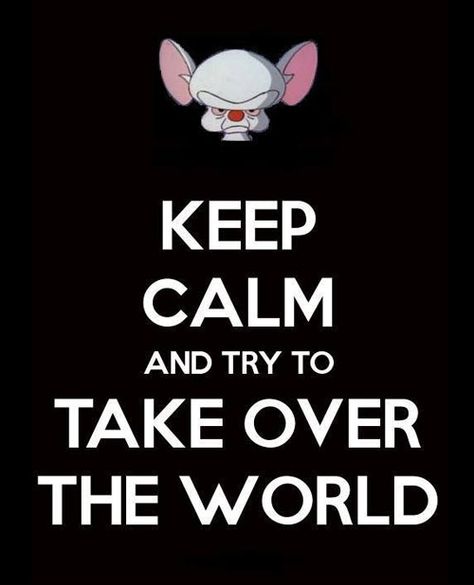 What are we going to do tonight Brain? The same thing we do every night, Pinky, try to take over the world! Humour, Keep Calm, Keep Calm Quotes, Keep Calm Signs, Keep Calm Posters, Fina Ord, Calm Quotes, Taking Over The World, I Laughed