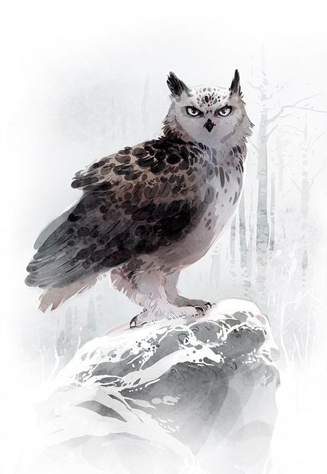 Croquis, Snowy Owl Character Design, Snowy Forest Illustration, Fantasy Owl Art, Snow Owl Art, Owl Fantasy Art, Owl Warrior, Minna Sundberg, Owl Oc