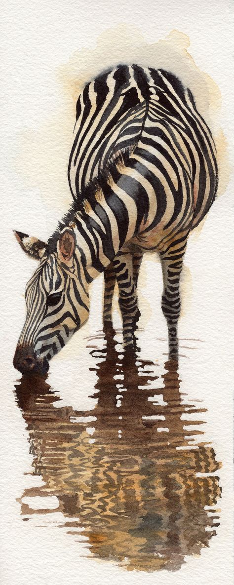 Watercolour Zebra Paintings, Watercolor Zebra Painting, Animal Watercolour Painting, Zebra Art Abstract, Zebra Painting Abstract, Zebra Video, Cute Zebra Drawing, Zebra Painting Acrylics, Wild Animal Paintings